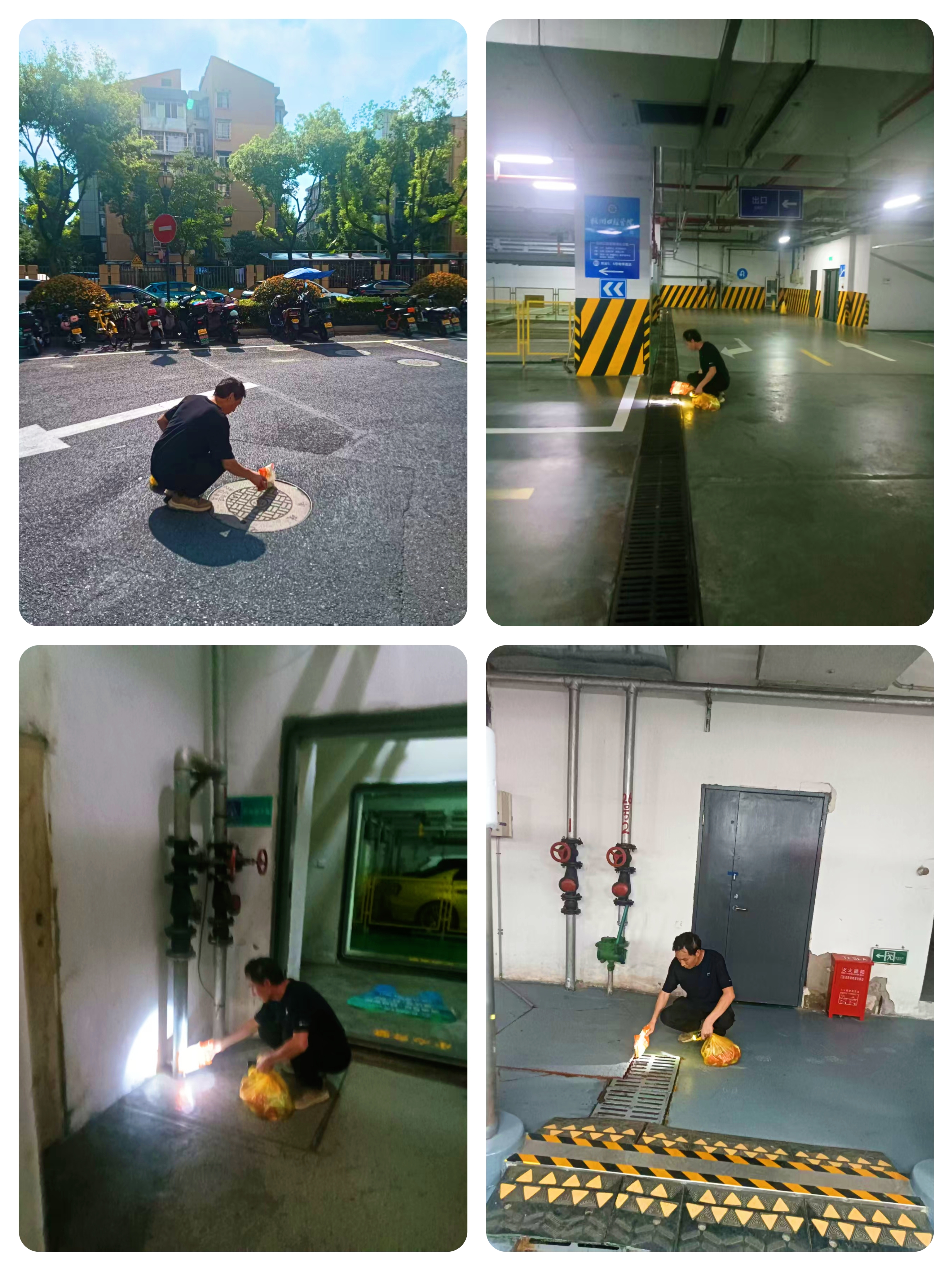 水晶城開展“清積水、除四害”專項(xiàng)行動(dòng) 筑牢健康防線