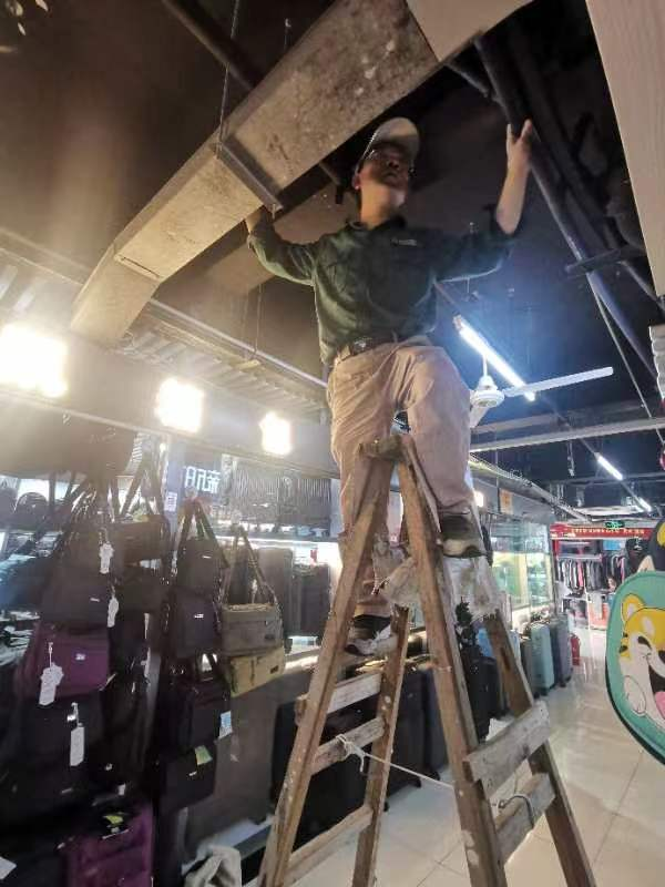 夏季除四害，錢江在行動