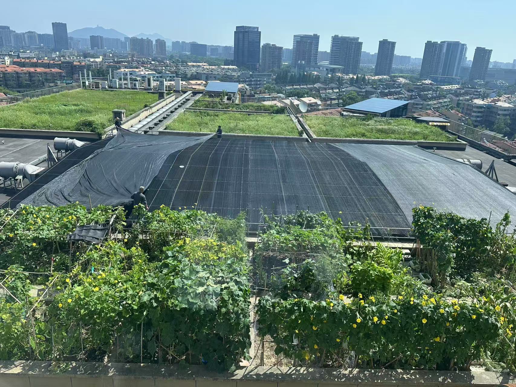 水晶城巧施”遮陽術(shù)“，為節(jié)能降耗注入清涼動力