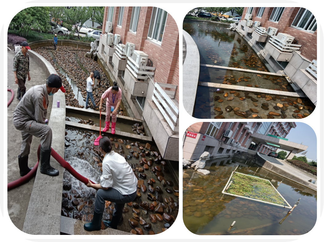 煥然一新，園區(qū)景觀池迎來“大洗之日”