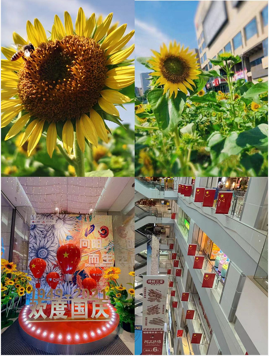 盛世華誕，水晶城喜迎國慶