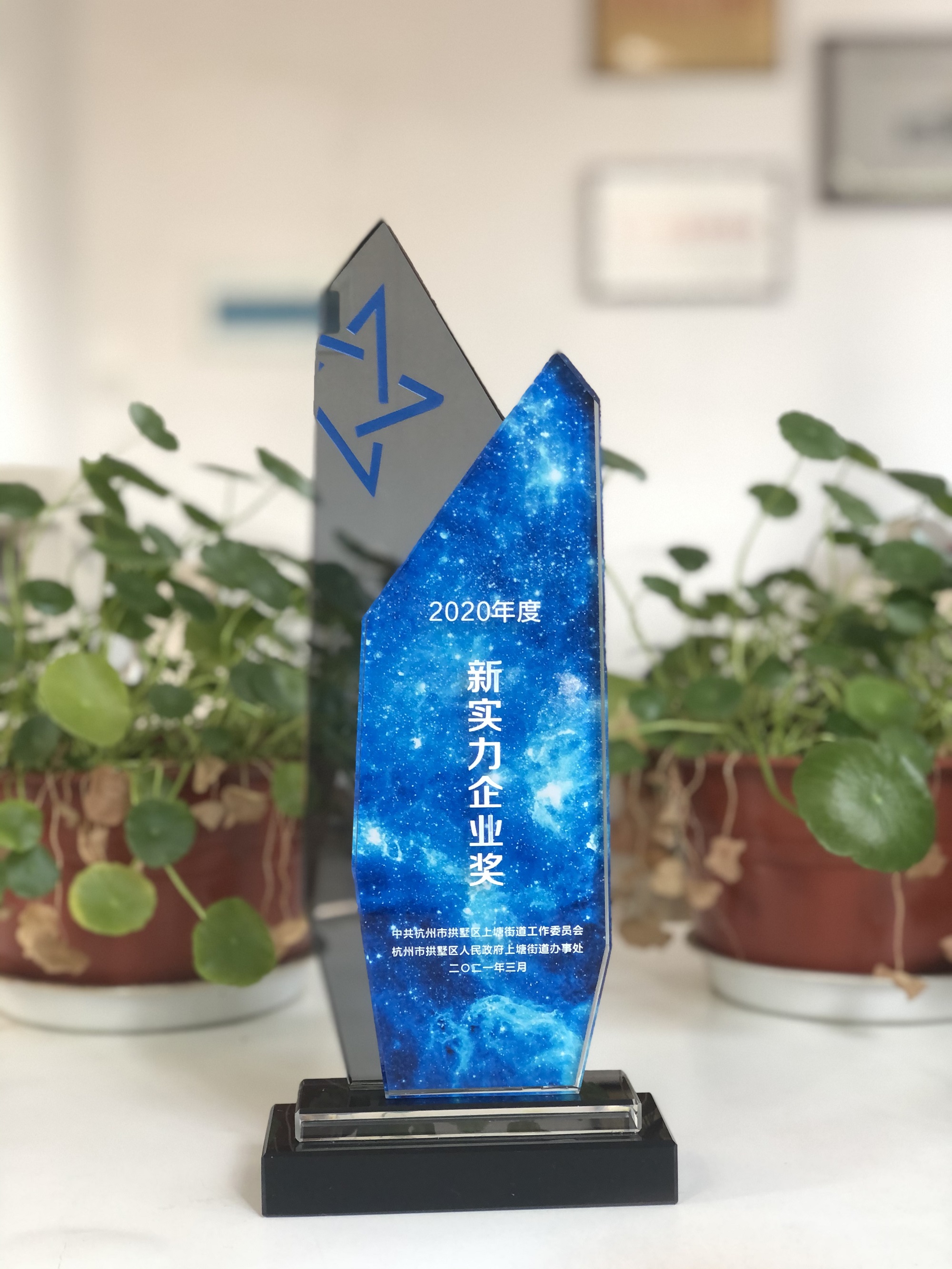 新實(shí)力企業(yè)獎.jpg 新實(shí)力企業(yè)獎.jpg