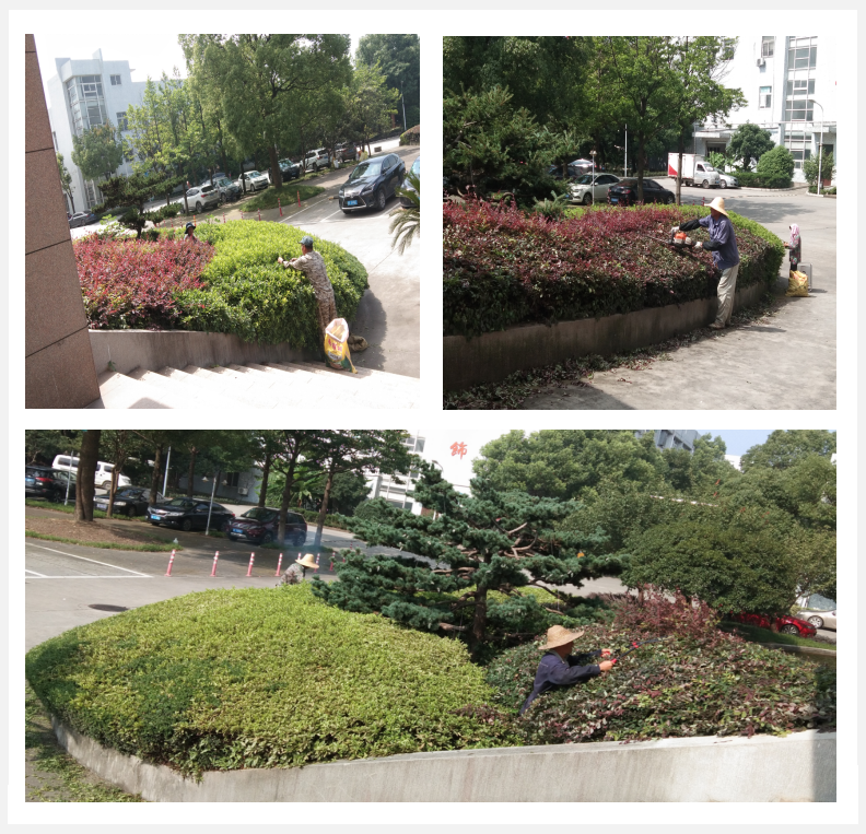 圖片7.png 圖片7.png