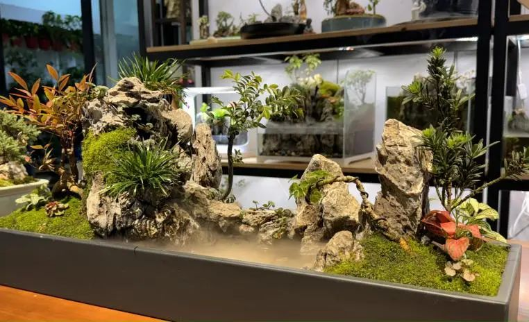 圖片2.png 圖片2.png