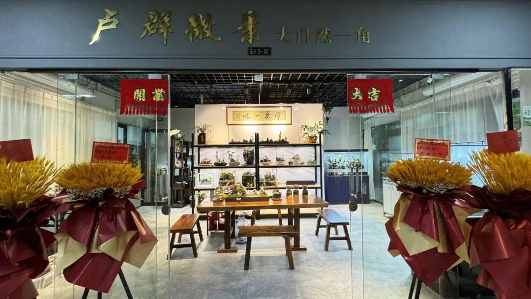 圖片1.png 圖片1.png