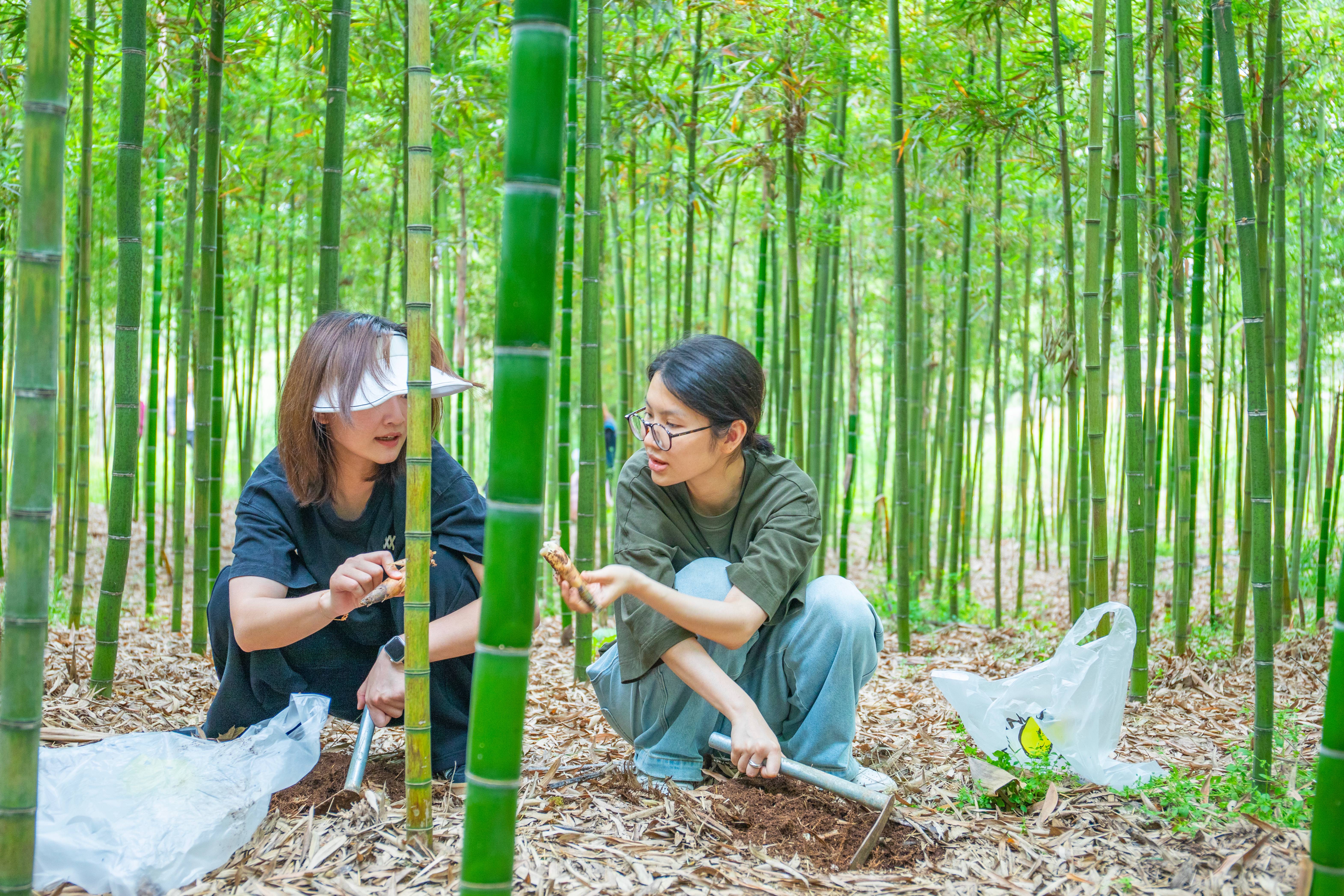 f643c09be6f917532bc01fc39560526(1).jpg f643c09be6f917532bc01fc39560526(1).jpg